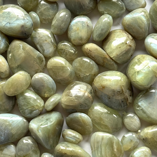 Snow white labradorite tumbled - snow,